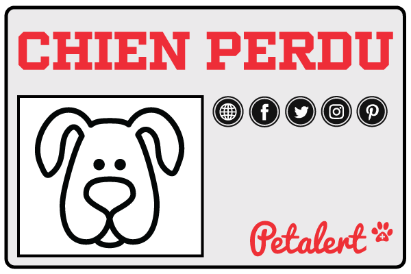 Pet Alert Espalhe seu comentário Dog