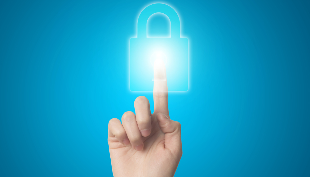 Interface segura e proteção de dados